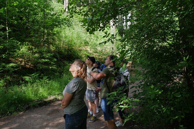 3 in 1 Tour Brewery & Castle in Bohemian Paradise Unesco Geopark - A full day of castles, rocks, and Czech beer power