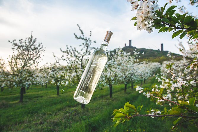 A delightful wine tasting in the scenic countryside with lunch - Key Things That Make This Tour Worth It