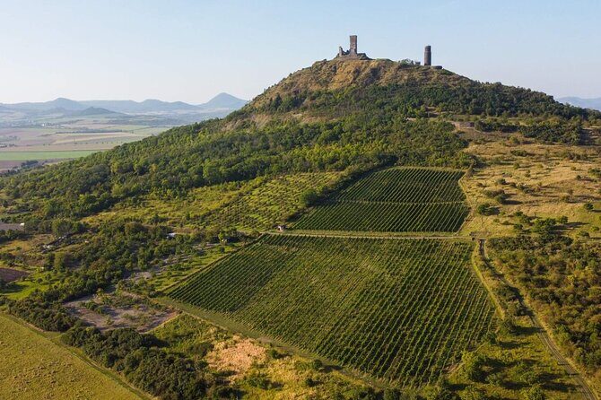 A delightful wine tasting in the scenic countryside with lunch - The 4x4 Ride: Scenic Lookouts Without the Effort