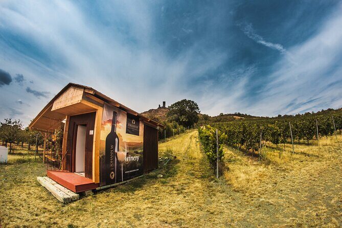 A delightful wine tasting in the scenic countryside with lunch - Lunch in the Countryside: Real Food That Doesn’t Feel Like an Afterthought