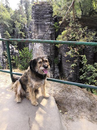 Bohemian Paradise (Český ráj) UNESCO geopark nature walks - Price and value: why $197.71 can feel reasonable here