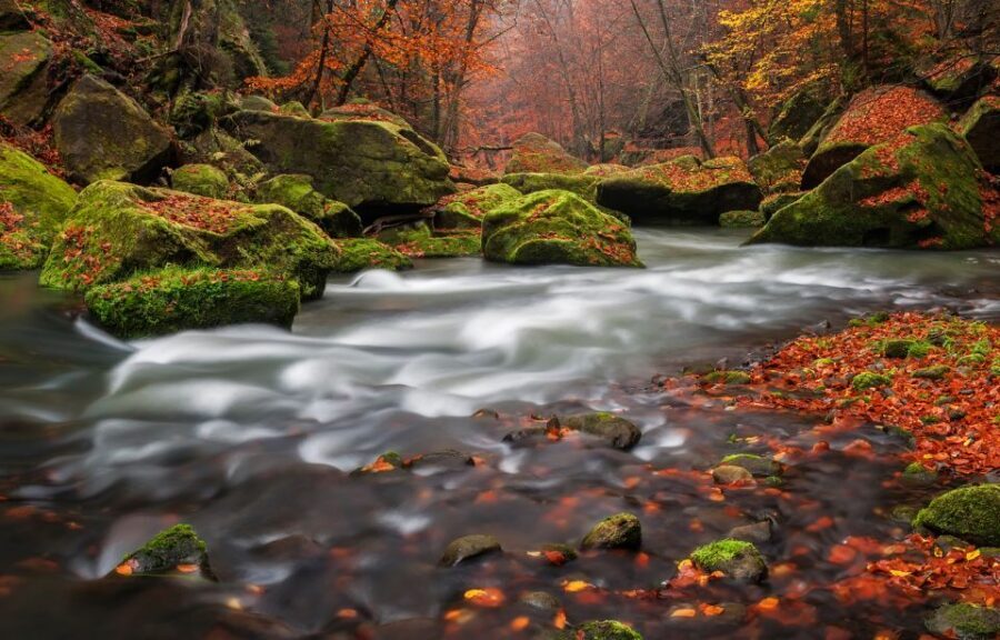 Bohemian Switzerland: Private Day Trip from Prague - Why Bohemian Switzerland feels different when you go privately