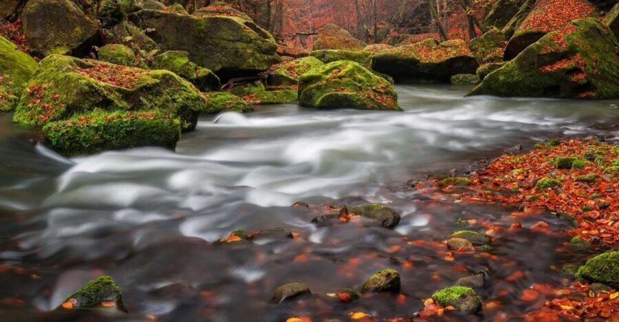 Bohemian Switzerland: Private Day Trip from Prague - Should you book this private Bohemian Switzerland day trip?