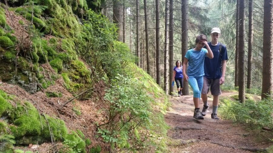 Bohemian Switzerland: Private Day Trip from Prague - Pickup and transport from Prague: comfort that saves real time