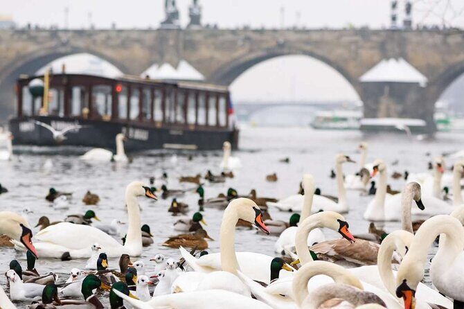 Charles Bridge: River Boat Cruise & Guided Tour ️with PragueWay - Charles Bridge + a Castle View: The Quick Hits Without the Guesswork