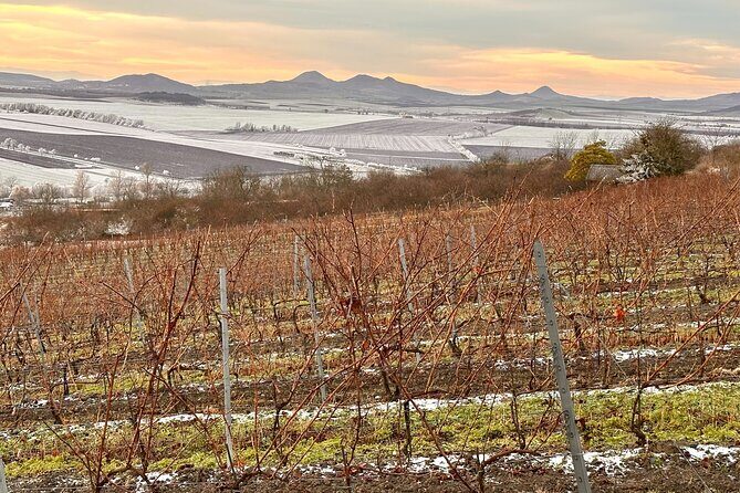 Cozy Winter Countryside Tour 4x4: Experience Authentic Bohemia - Vyhlídka Dubičky: Elbe canyon views with volcanic-country context
