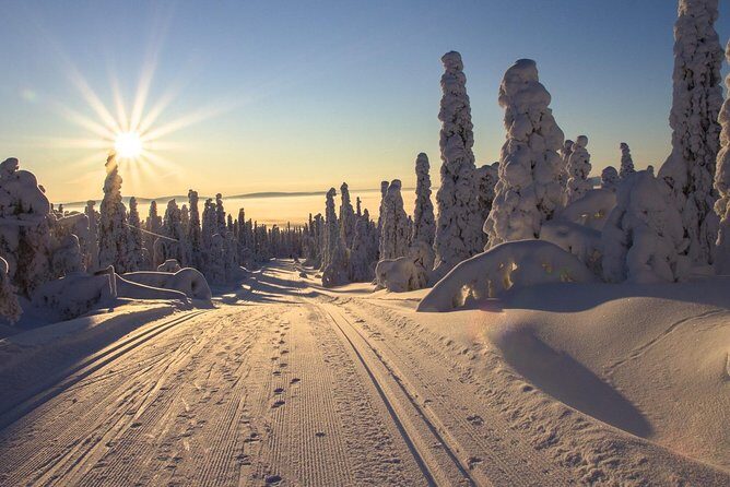 Cross-Country Skiing Guided Tour From Prague - Price and value: what $313 really covers