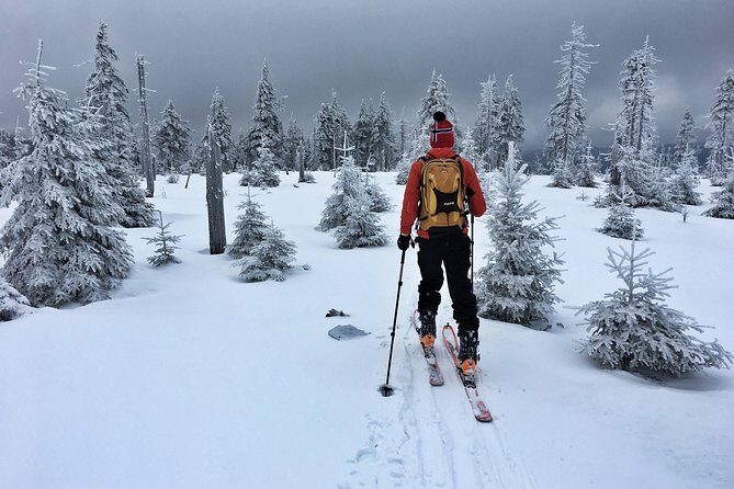 Cross-Country Skiing Guided Tour From Prague - The guides matter: Lucie and Barbora’s patient approach