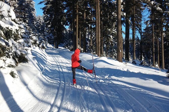 Cross-Country Skiing Guided Tour From Prague - Small-group day trips (max 8) work better on skis