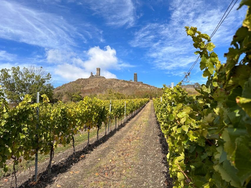 Czech Vineyards and Wine Tasting 4WD Tour with Lunch - Guides, Group Size, and the Pace That Fits Real Life