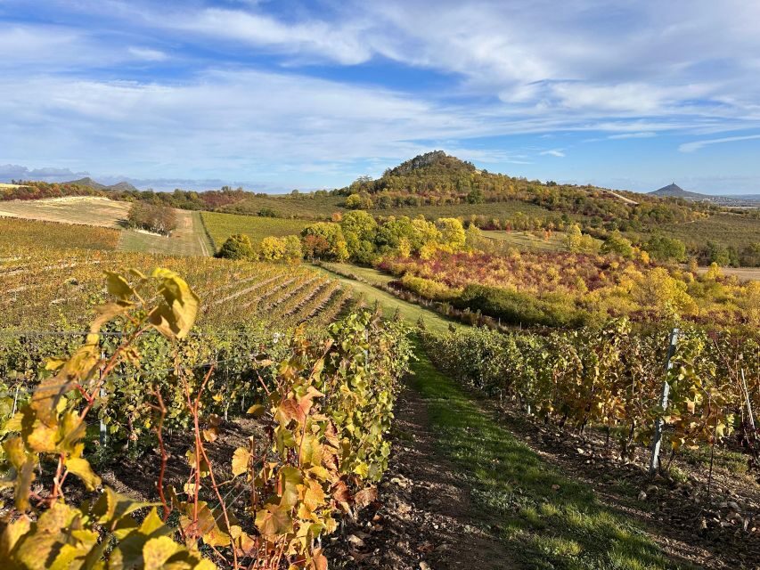 Czech Vineyards and Wine Tasting 4WD Tour with Lunch - 5 Gothic Castles and a Vineyard Jewish Cemetery: The Part That Goes Beyond Wine