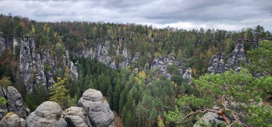 Day trip from Prague to Bohemian and Saxon Switzerland - Lunch in a local restaurant: included, and actually worth planning for