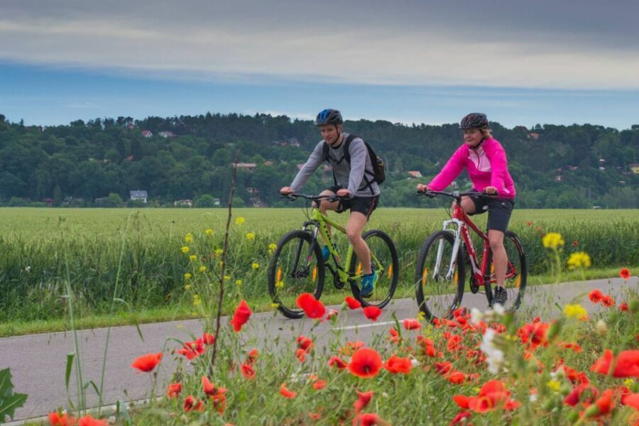 E-Bike Day Trip: Visit a Roman Castle and Taste Craft Beer - Why this e-bike day trip to Karlstejn and beer works