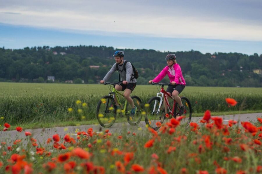 E-Bike Full-Day Trip From Prague:The Mighty Karlstejn Castle - Riding pace and terrain: what your legs should expect