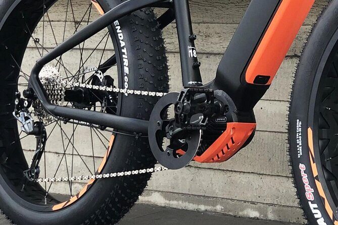 FAT TIRE E-BIKE GREAT TOUR - river, parks & panoramic views tour - Rudolfinum and the Old Jewish Cemetery: places many people skip on a first pass