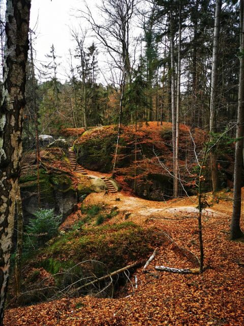 From Prague: Full-Day Bohemian Paradise Guided Hiking Trip - Bohemian Paradise hiking from Prague: the real vibe