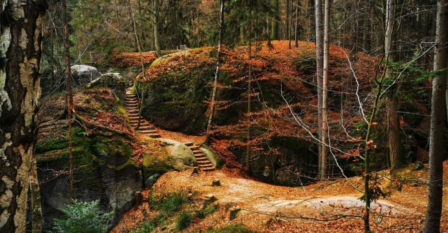 From Prague: Full-Day Bohemian Paradise Guided Hiking Trip - Guides: what you gain from going with a person, not a route