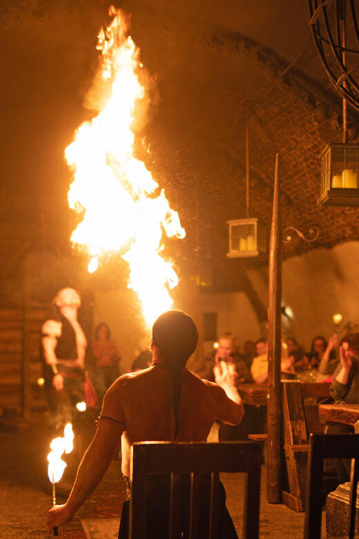 From Prague: Medieval Dinner, Show, Castle and Brewery - Price and value: does $116 feel fair for Prague?