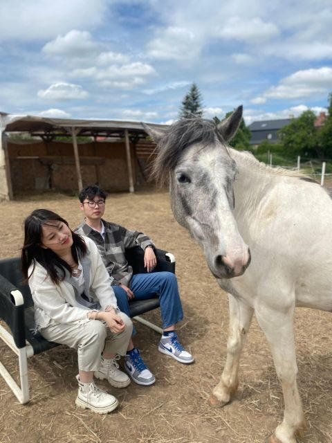 Horseback riding tour near Prague - Key things to know before you go