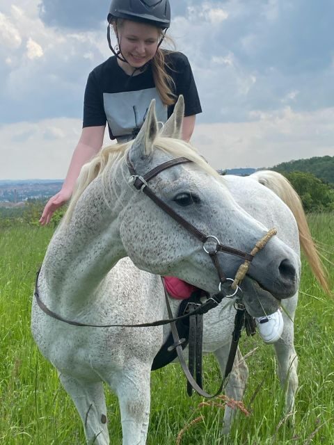Horseback riding tour near Prague - The bitless, positive approach: what it means for your ride