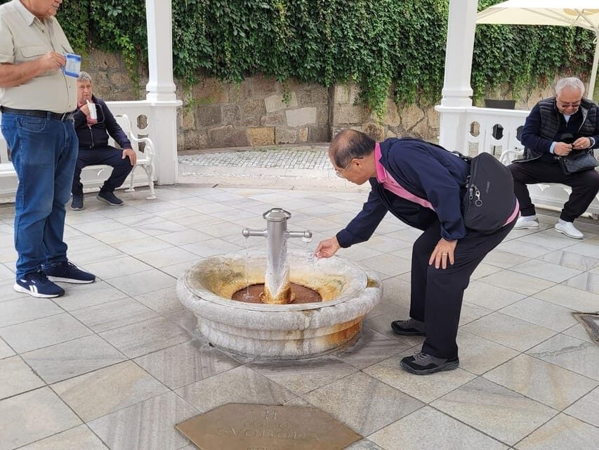 Karlovy Vary: Mineral Hot Springs Tasting and Walking Tour - Key Things to Know Before You Go