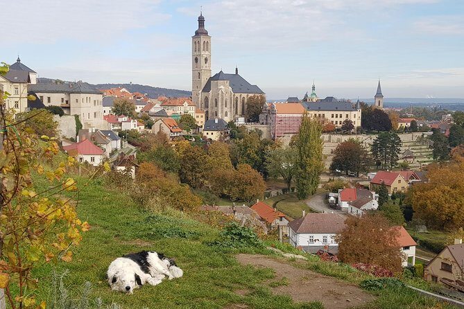Kutná Hora and Bone church - private tour with PERSONAL PRAGUE GUIDE - Cathedral of the Assumption of Our Lady and St. John the Baptist: Short Visit, Great Payoff