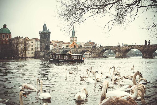 Magical Prague Private Half-Day Tour - Stare Mesto (Old Town): Getting Oriented Fast