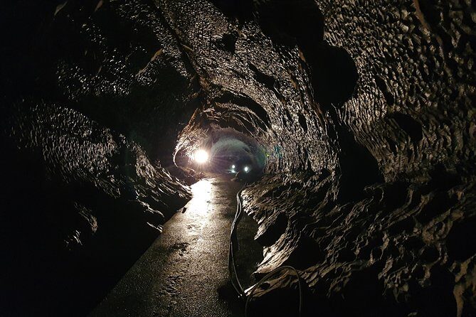 Moravian Carst And Brno Private Tour From Prague - Punkva Caves: The Boat Ride Through the Big Cave System
