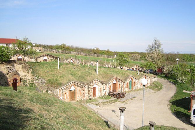 Moravian wine trails - Pickup from Brno: the easiest way to do a wine day
