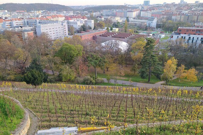 Non-touristy Prague - Cozy Neighborhoods - Private Tour - Zizkov: a last original quarter with local spirit