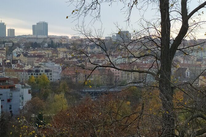 Non-touristy Prague - Cozy Neighborhoods - Private Tour - Vinohrady: calm villas, parks, and an easy reset