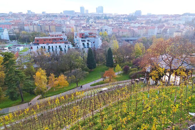 Non-touristy Prague - Cozy Neighborhoods - Private Tour - The Prague TV tower stop: part view, part humor