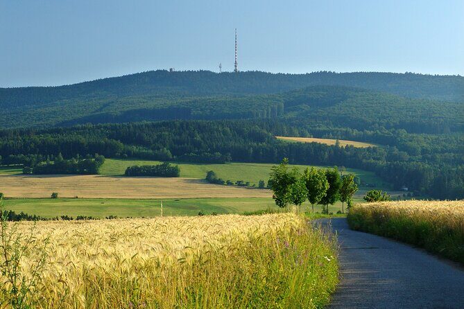 One day trips in the surroundings of Cesky Krumlov - Stop 6: Rožmberk Castle above the Vltava