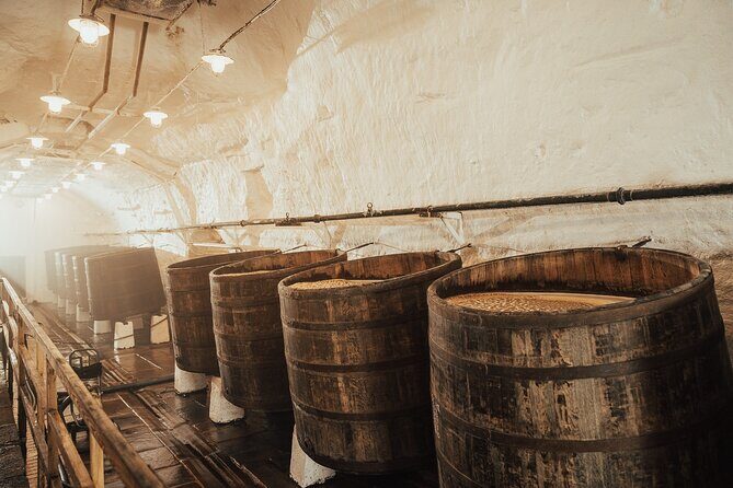 Pilsner Urquell Brewery Tour with Beer Tasting - Ingredients and brewing process: what you’ll actually come away understanding