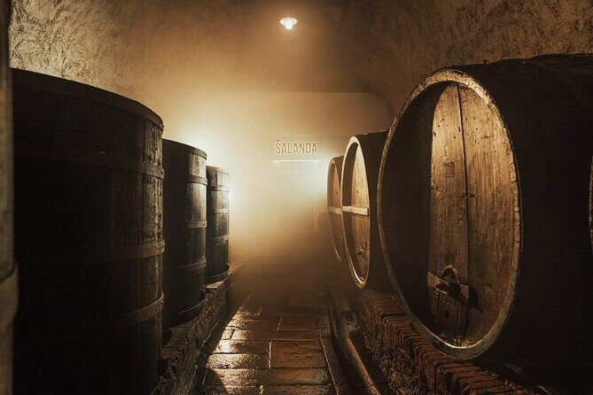 Pilsner Urquell Brewery Tour with Beer Tasting - Historic cellars and the unfiltered tasting in the chilly tunnel
