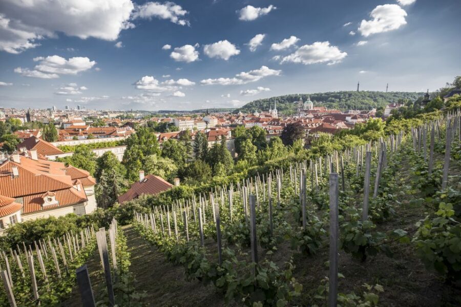 Prague: 3–Hour Castle Grounds Walking Tour and River Cruise - Key things that make this tour worth your time
