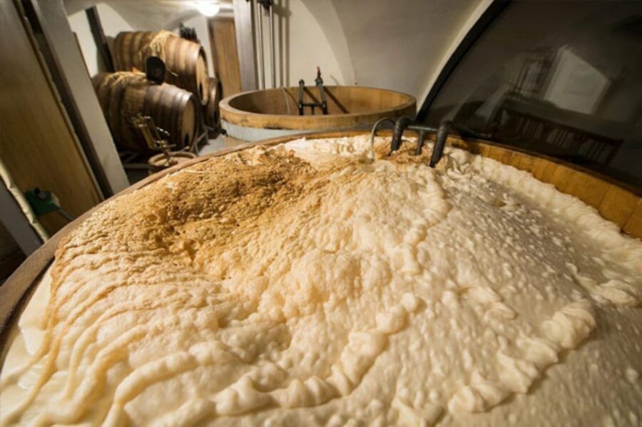 Prague: Beer Tasting and Brewery Tour - Who this tour suits best (and who should skip it)