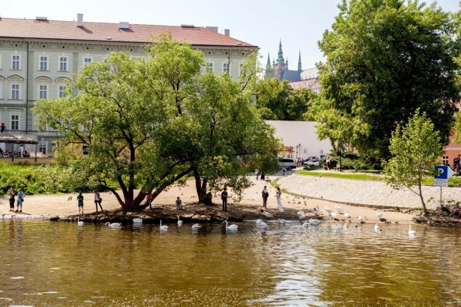 Prague Cruise: 1-Hour on the River Vltava - Onboard refreshments: what’s included and what you’ll pay for