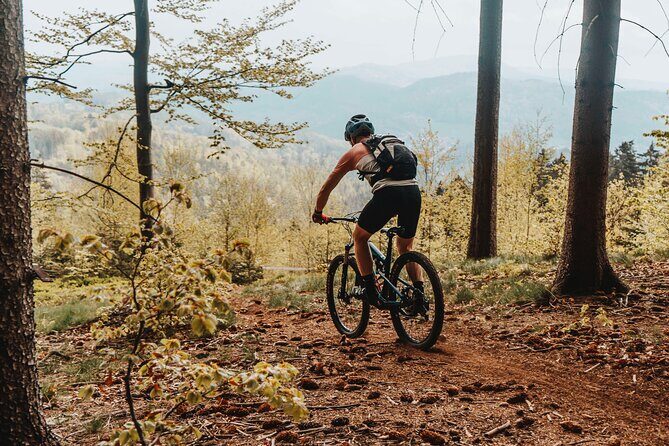 Prague E-Mountain Biking Adventure In The Bohemian Paradise - Weather and comfort: when rain happens, plan B still keeps the day moving