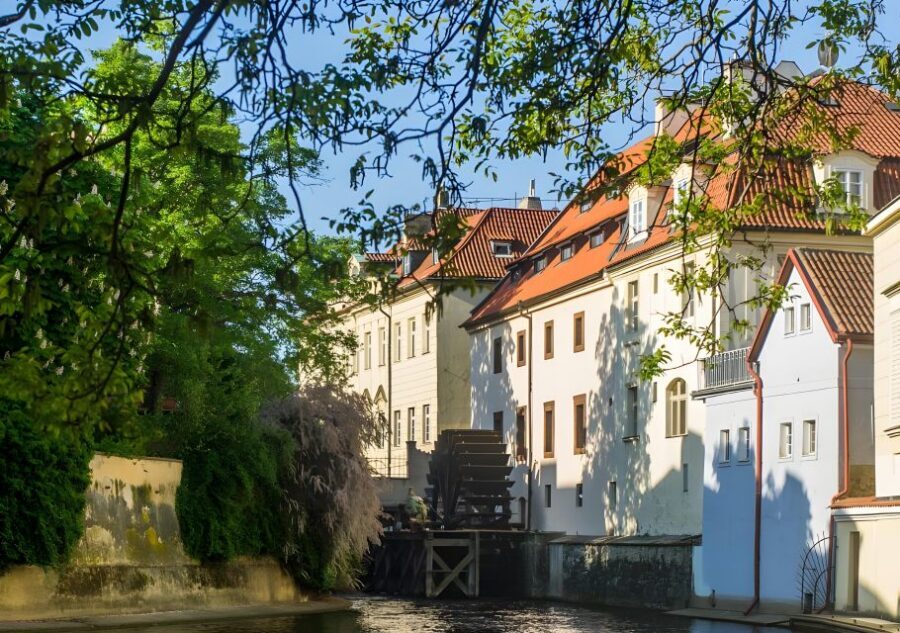 Prague: Full-Day Private Tour of Prague - 5 hours - Using a 30-minute transit ticket without losing the walk