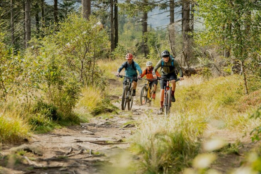 Prague Mountain Biking: Blast Through The Best Singletracks - What the riding actually feels like: singletrack, viewpoints, and variety