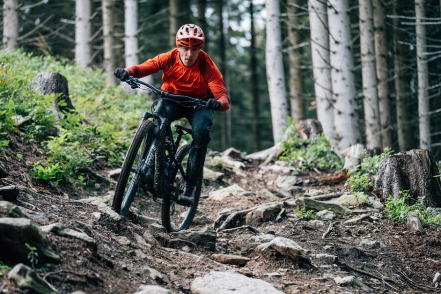 Prague Mountain Biking: Blast Through The Best Singletracks - The quick hop from Prague to Bohemian Karst Natural Park