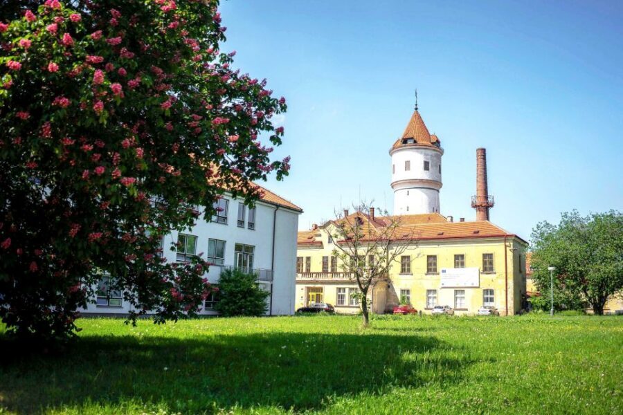 Prague: Psychiatric Hospital and Abandoned Cemetery Tour - Key things to know before you go