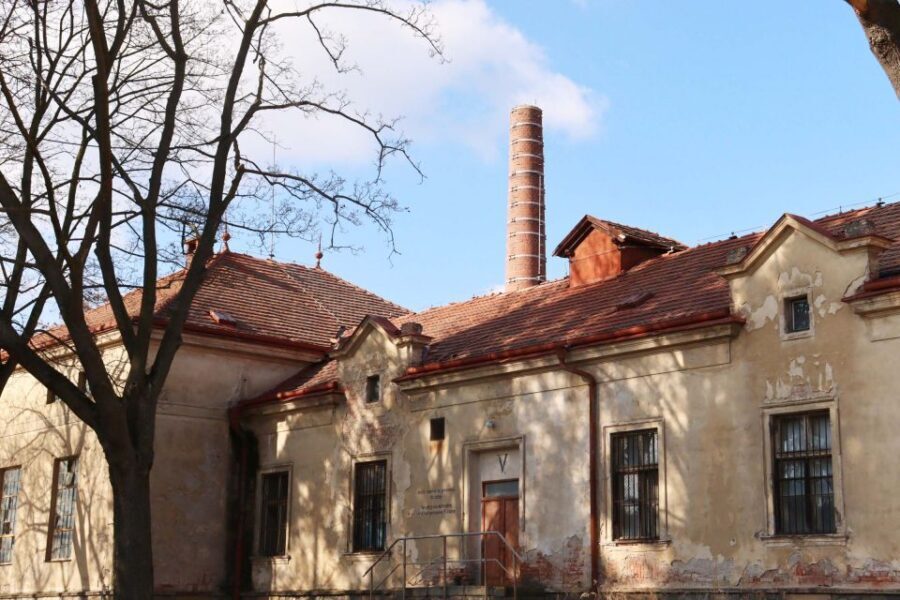 Prague: Psychiatric Hospital and Abandoned Cemetery Tour - Who this tour is for (and who should skip it)