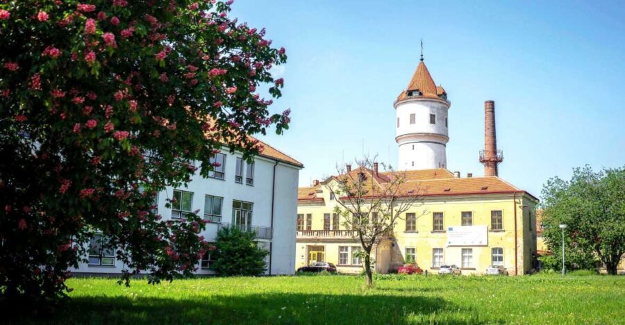 Prague: Psychiatric Hospital and Abandoned Cemetery Tour - What you learn: medieval rituals, lobotomies, and the Rosenham experiment