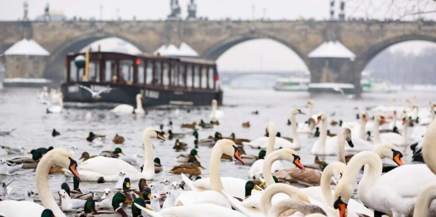 Prague: River Cruise, Charles Bridge Museum, & Walking Tour - What you’ll see on foot: Charles Bridge, Lennon Wall, Kampa, and the Theatre