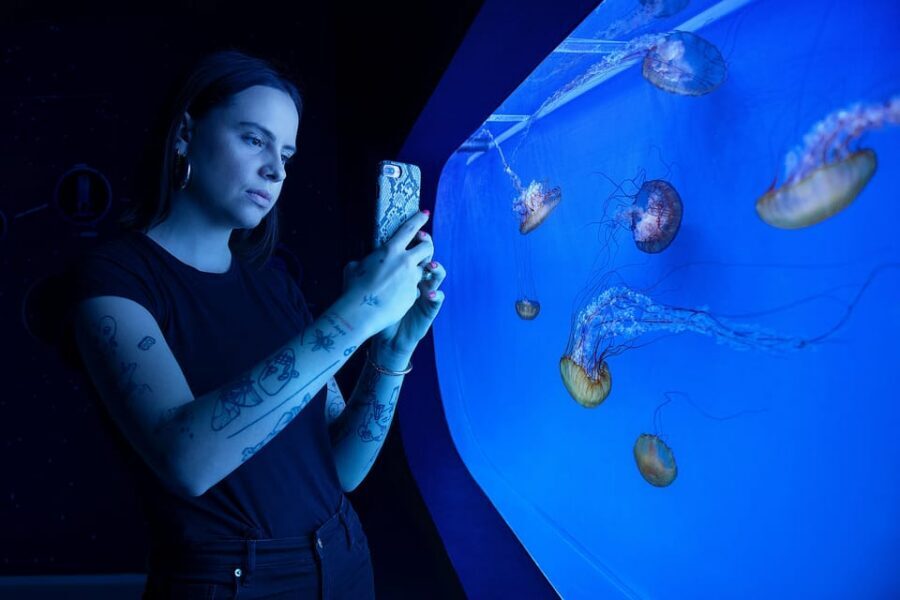 Prague: The World Of Jellyfish Entry Ticket w/ Drink - Video Mapping and Audiovisual Effects for Kids and Grown-Ups