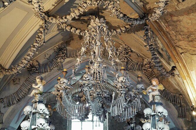 Prague-Vienna One-Way Sightseeing Day Tour - Key Things to Know Before You Go