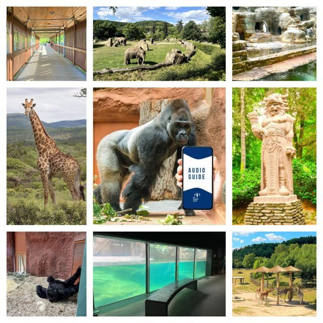 Prague Zoo Online Audio Guide (No ticket) - What You Really Get for the $5 Price (and What’s Extra)