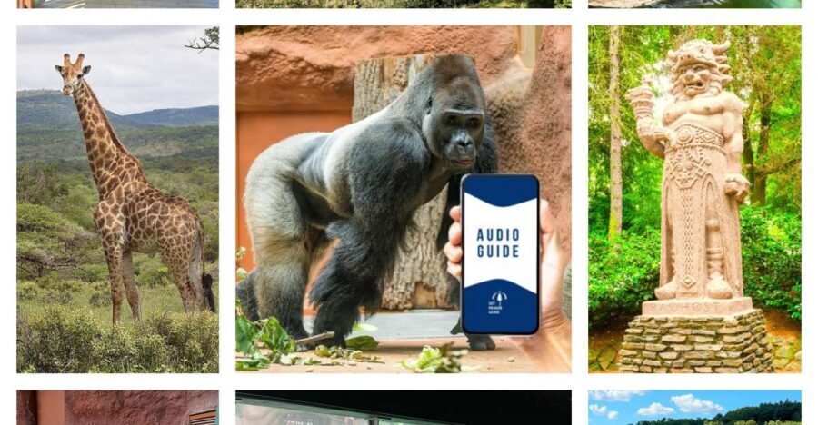 Prague Zoo Online Audio Guide (No ticket) - Prague Zoo Context: Why the Stories Matter When You’re Looking at Animals